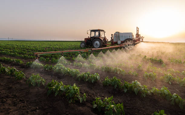 Best Wildlife Control Services  in North Eagle Butte, SD