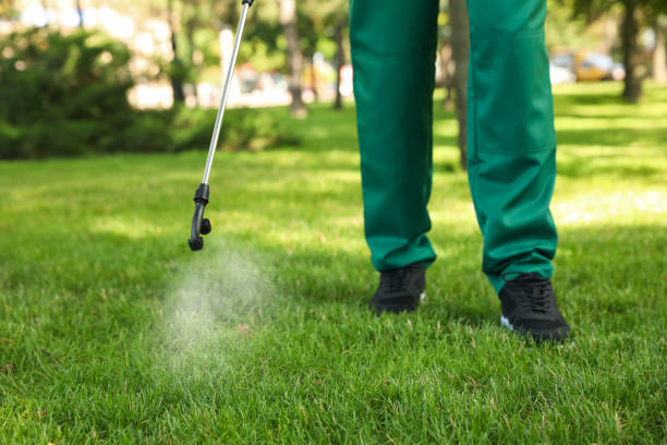 Pest Prevention Services in North Eagle Butte, SD