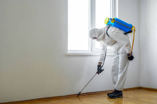 Pest Control Cost in North Eagle Butte, SD
