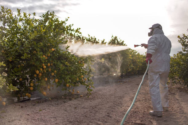 Best Rat Extermination Near Me  in North Eagle Butte, SD