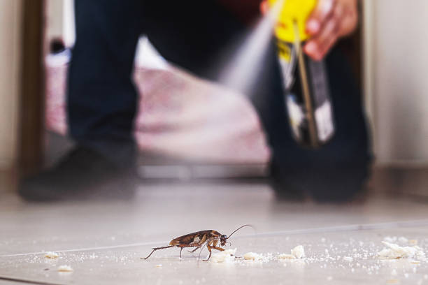 Best Residential Pest Control  in North Eagle Butte, SD