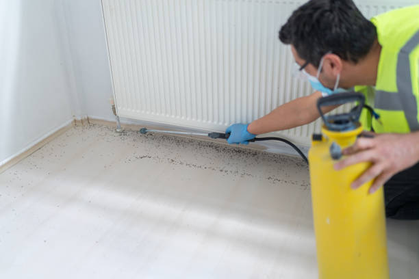 Best Pest Control Near Me  in North Eagle Butte, SD