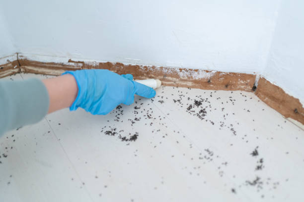 Best Pest Removal Services  in North Eagle Butte, SD