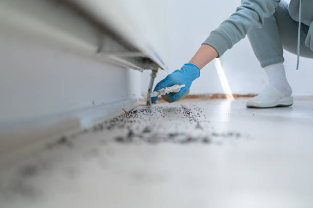 Best Emergency Pest Control  in North Eagle Butte, SD